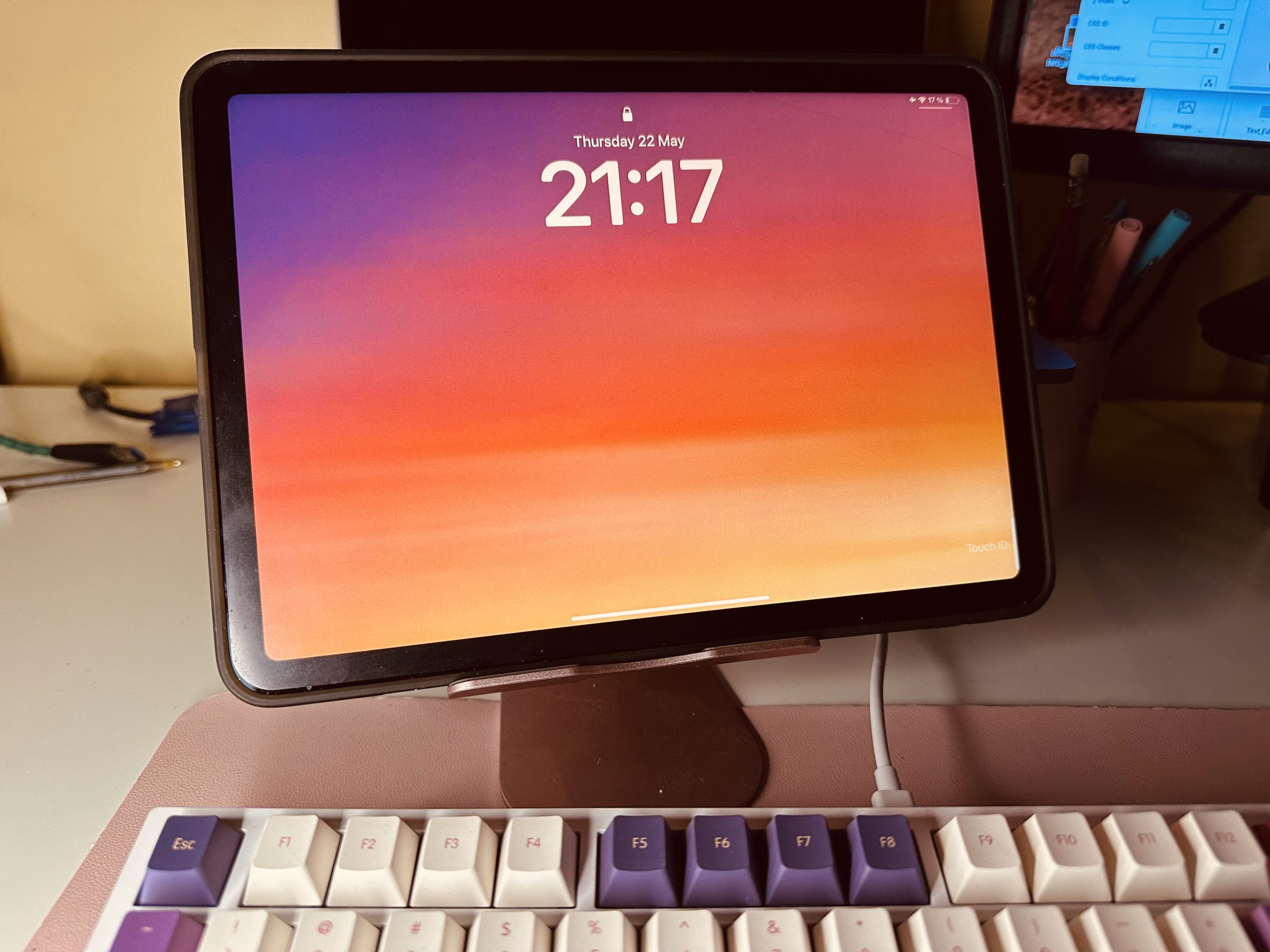 ipad-magical-blossom
