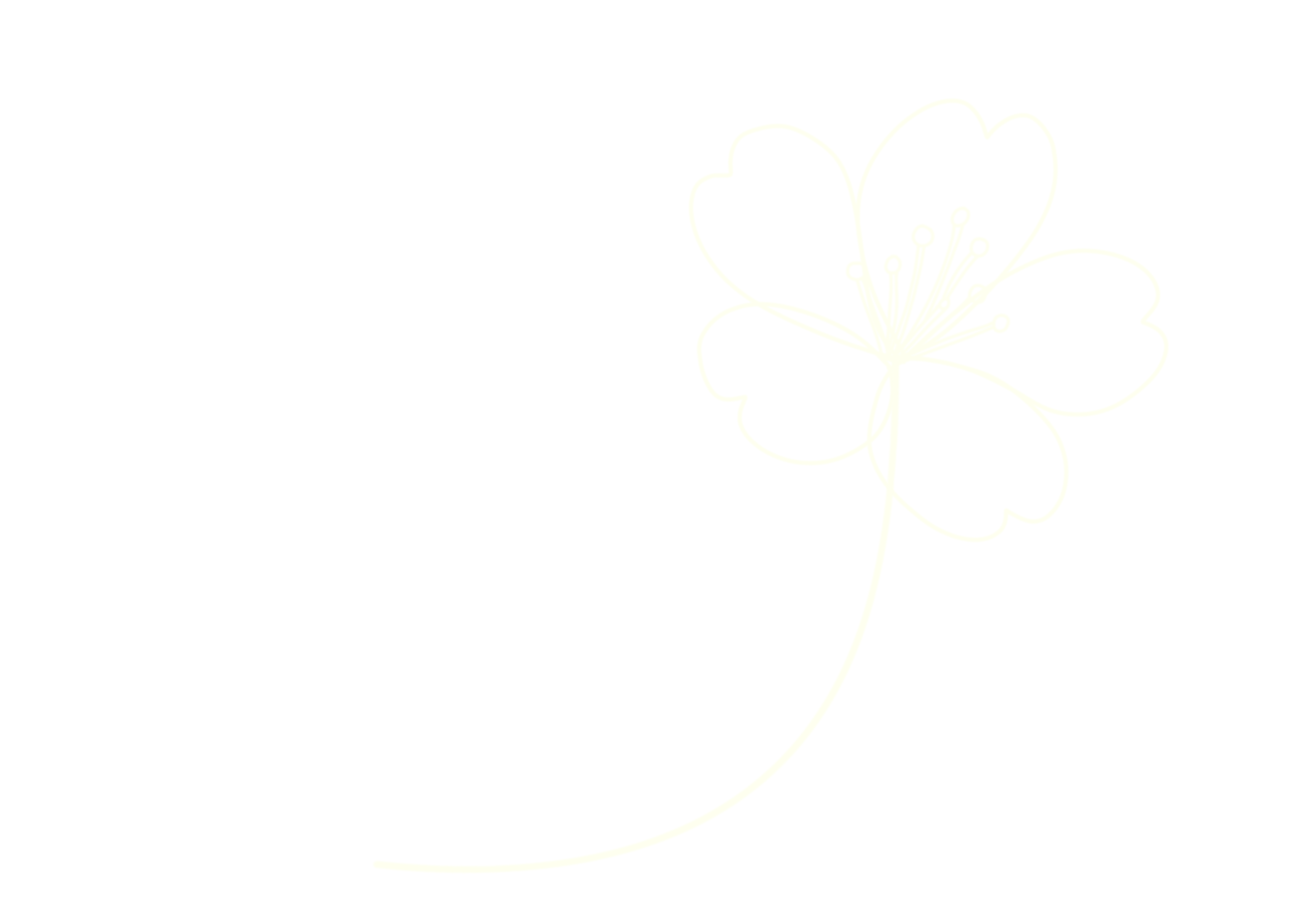 magical-blossom-flower